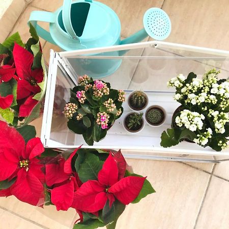 Koukaki Cozy Apartment Athens Luaran gambar